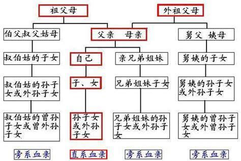 外孫算直系嗎|直系親屬:法規,具體範圍,